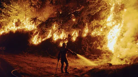 arde